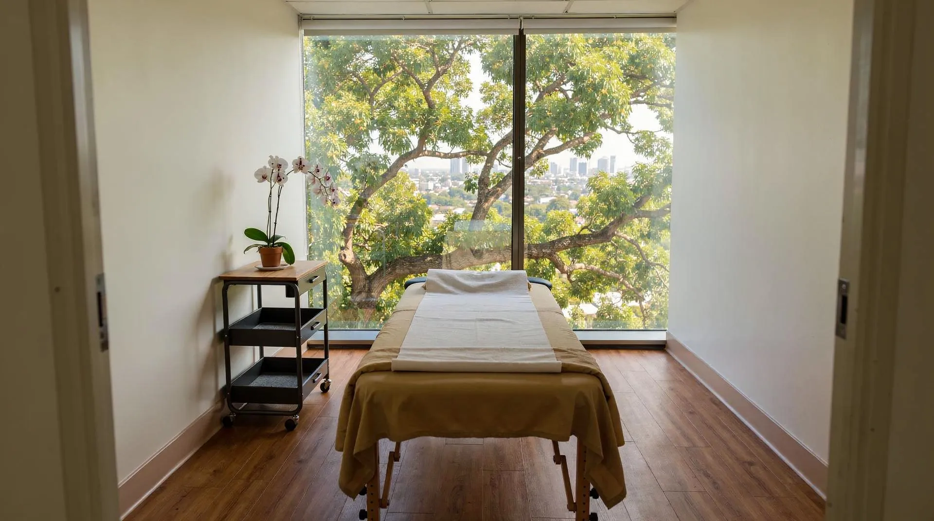 Jafari Acupuncture Clinic acupuncture treatment in Los Angeles